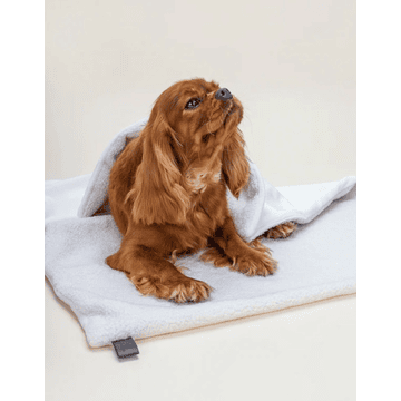 Couverture pour animaux Calm Eco Bouclé