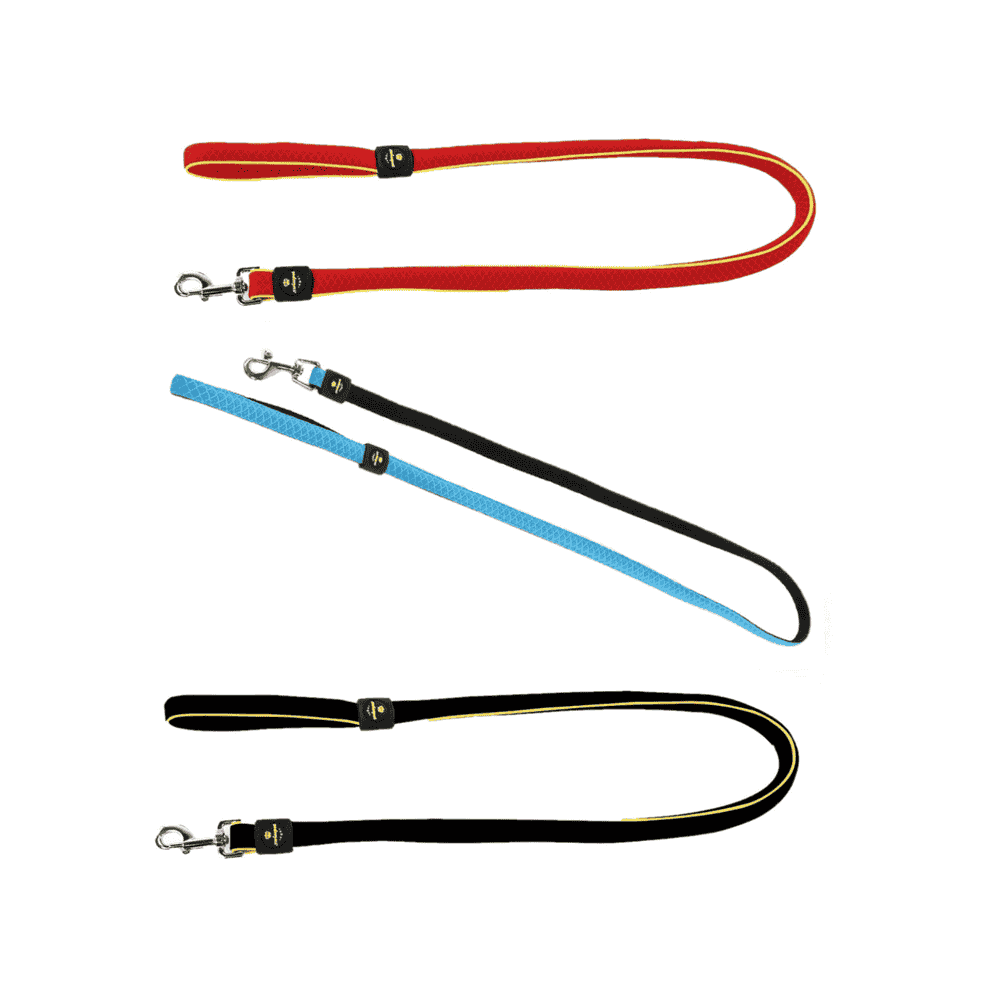 Active Dog city leash