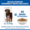 Canine Adult Healthy Mobility Large Breed