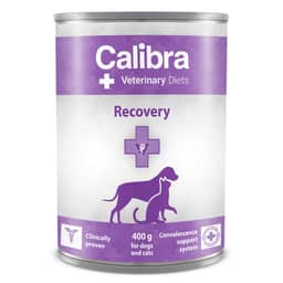 Canine/Feline Recovery