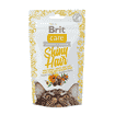 Care Cat Snack - Shiny Hair