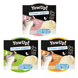 Dog Frozen Yogurt