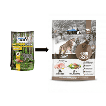 Cat Adult Poulet