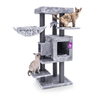 Cleopatra cat scratcher 134