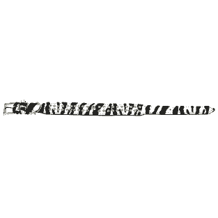 Deluxe Collar Zebra
