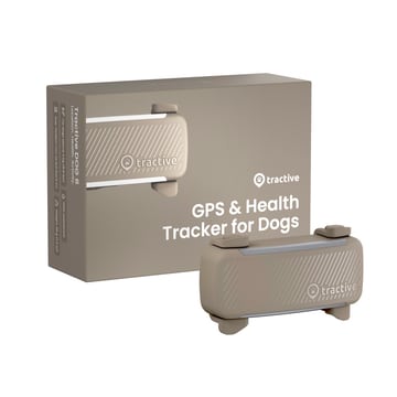 DOG 6 Tracker