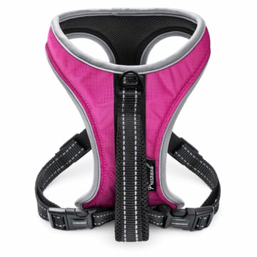 Geschirr Sport Soi Uni pink