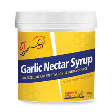 Garlic Nectar Syrup