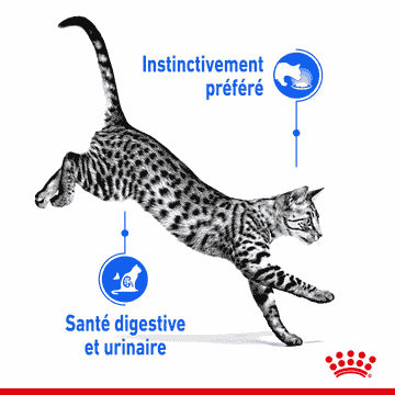 Indoor Sterilised Cat en sauce - sachet
