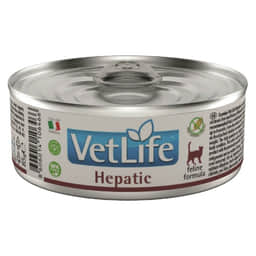 Feline Adult Hepatic