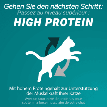 High Protein Adult Sterilised Lachs