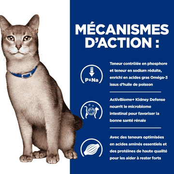Feline k/d Kidney Care Salmon (anciennement : tuna)