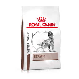Hepatic Dog
