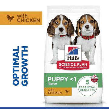 Puppy Medium Breed Chicken