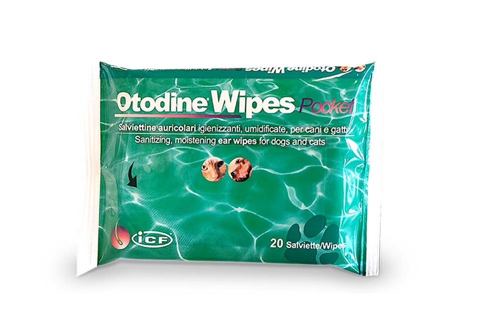Otodine Wipes Pocket