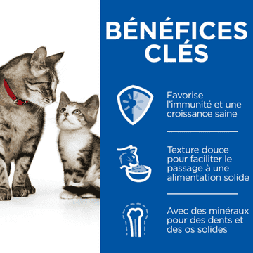Kitten & Mother Tender Mousse