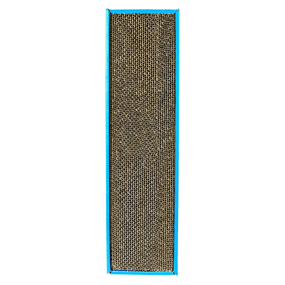 3 x Scratchy - Surface Griffoir Carton