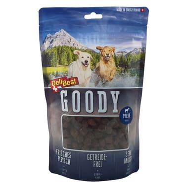 Dog Goody Pferd