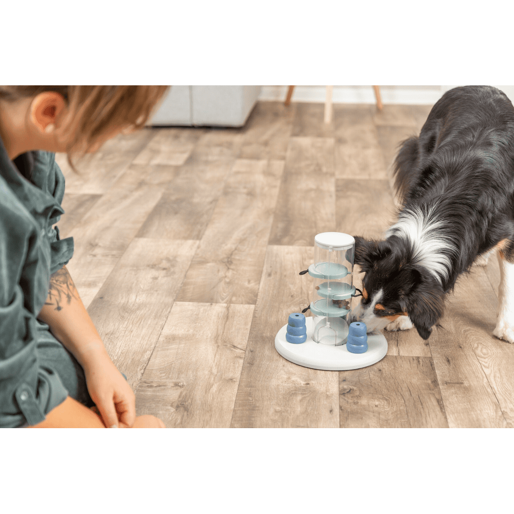 Dog Activity Gambling Tower