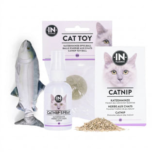Set de jeu à la menthe à chat 1