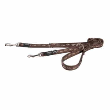 Laisse pour chien Alpinist marron