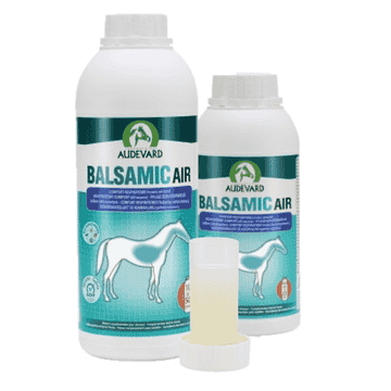 Balsamic Air
