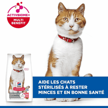 Feline Sterilised Cat Salmon