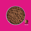 FRED Schwein Premium Trockenfutter