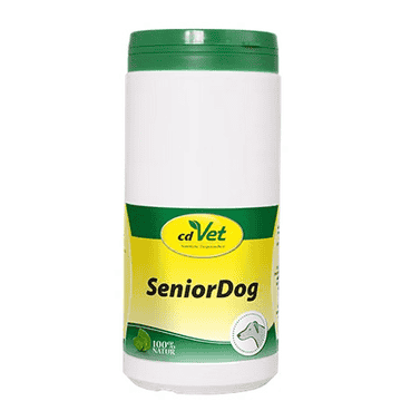 SeniorDog
