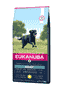 Active Adult Large & Giant Breed