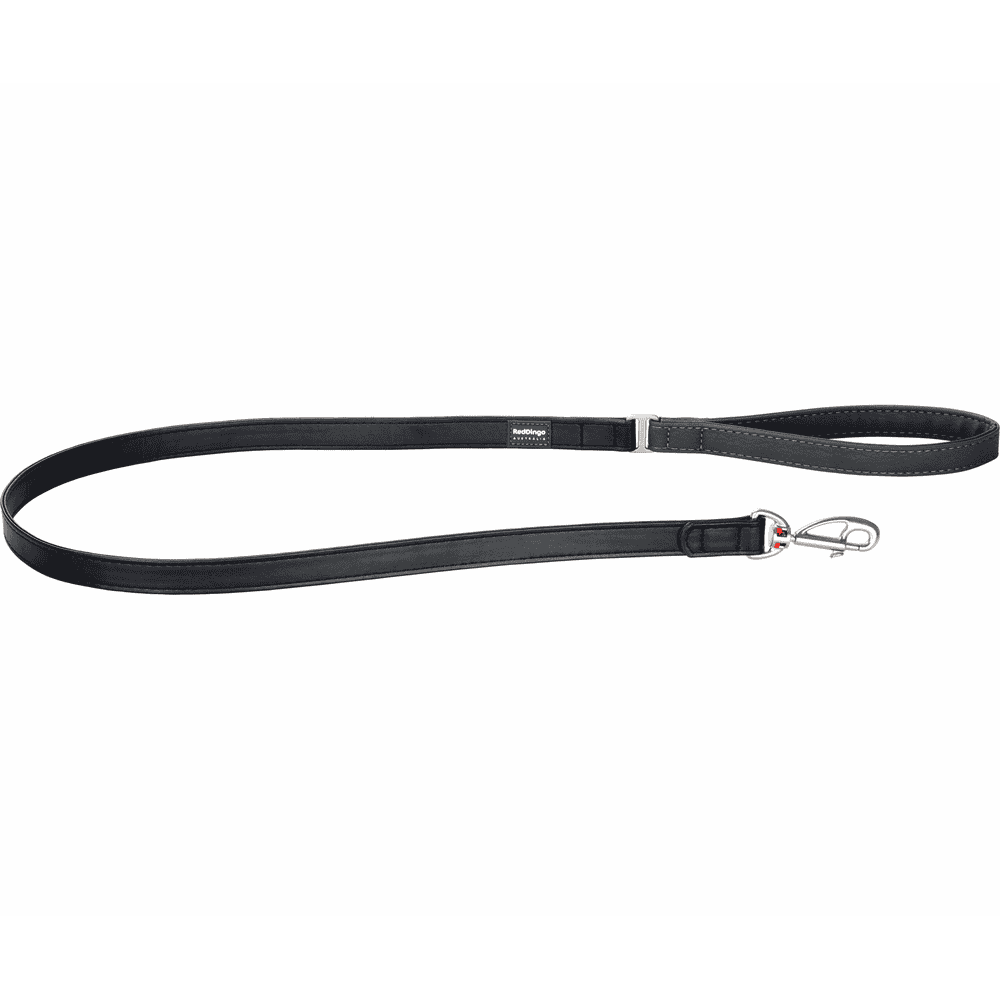 Elegant Black leashes