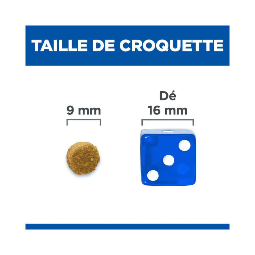 Feline Hypoallergenic No Grain Egg & Insect
