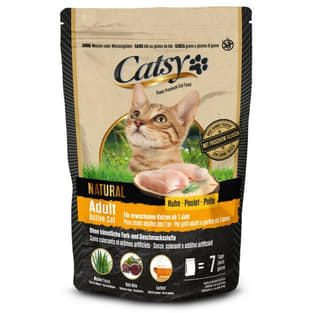 Adult Active Cat