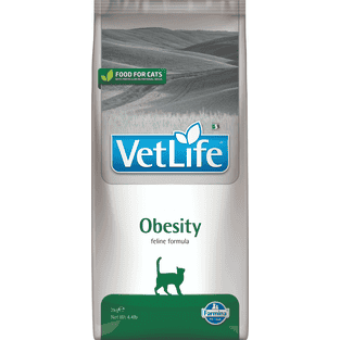Feline Obesity
