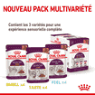 SENSORY SMELL, TASTE, FEEL en Sauce, Sachets