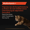 Cat Multivitamins +