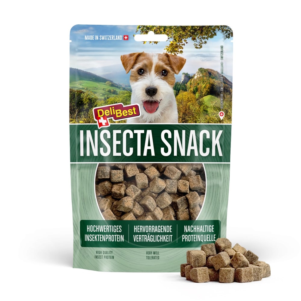 Insecta
