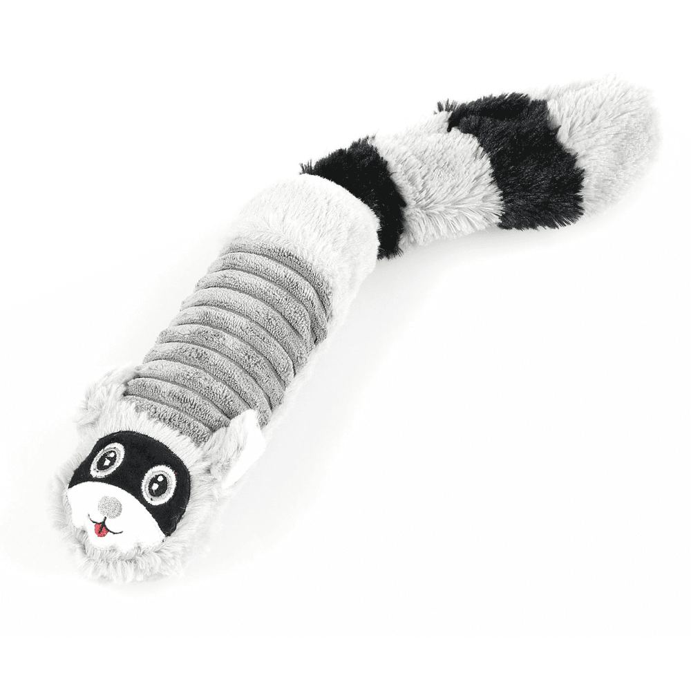 Snorkel raccoon