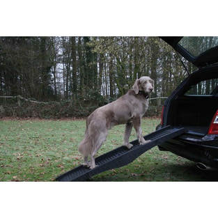 Rampe pliable pour chiens