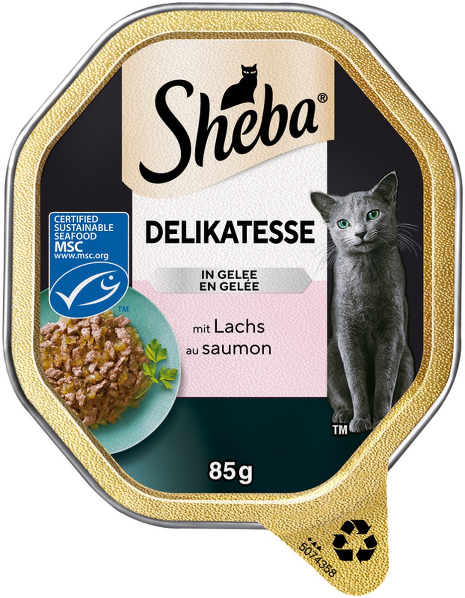 Delikatesse in Gelee mit Lachs