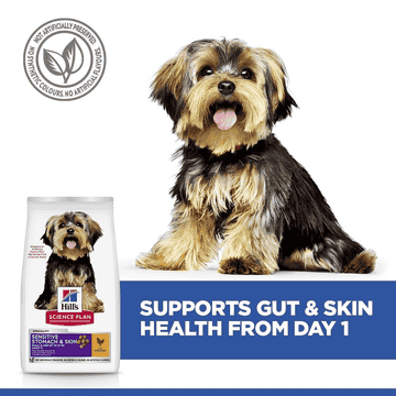 Canine Adult Sensitive Stomach & Skin Small & Mini Breed