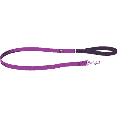 Laisse Elegant Purple