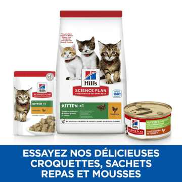 Kitten & Mother Tender Mousse