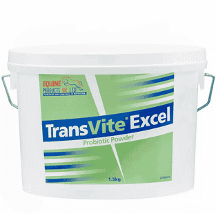 TransVite Excel