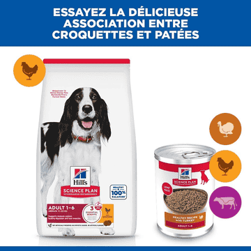 Canine Adult Turkey - Boîte