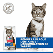 Feline Oral Care