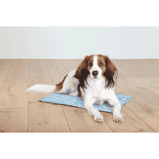 Tapis de refroidissement bleu clair