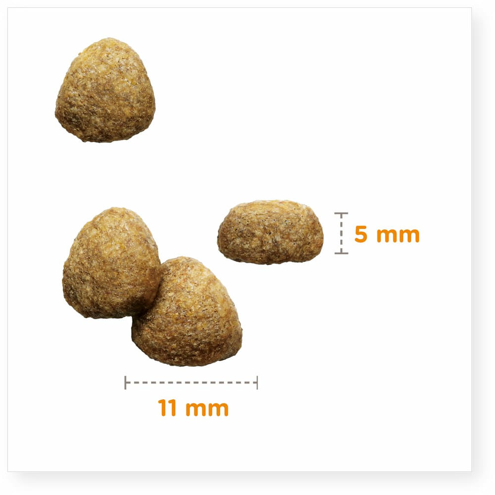 Light / Sterilised Advanced au poulet