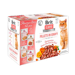 Care Cat Flavour Box - Fillets in Gravy
