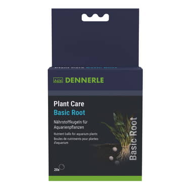 Plant Care Basic Root